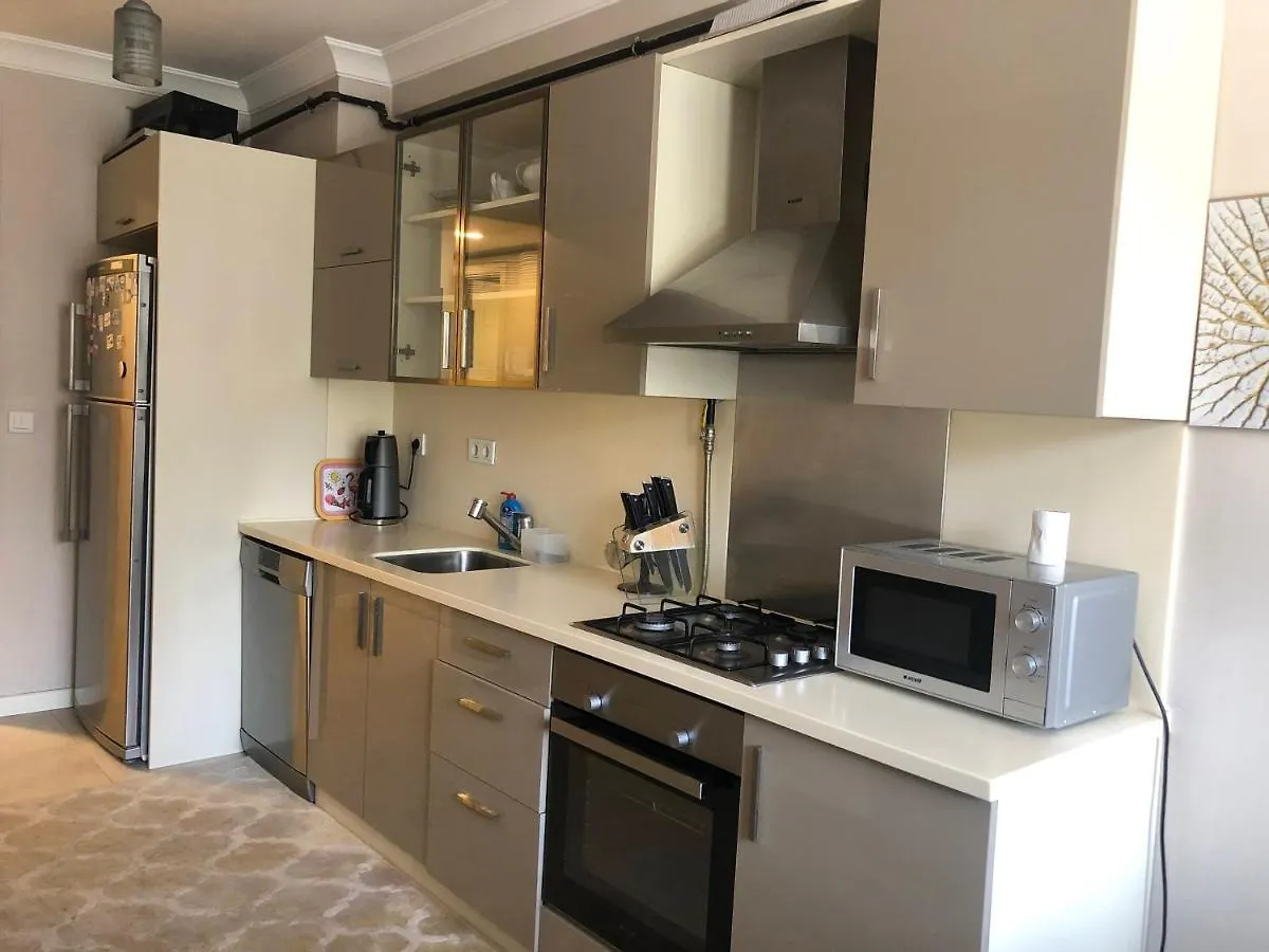 Alsama Apart No 88 Apartment Istanbul Turkey